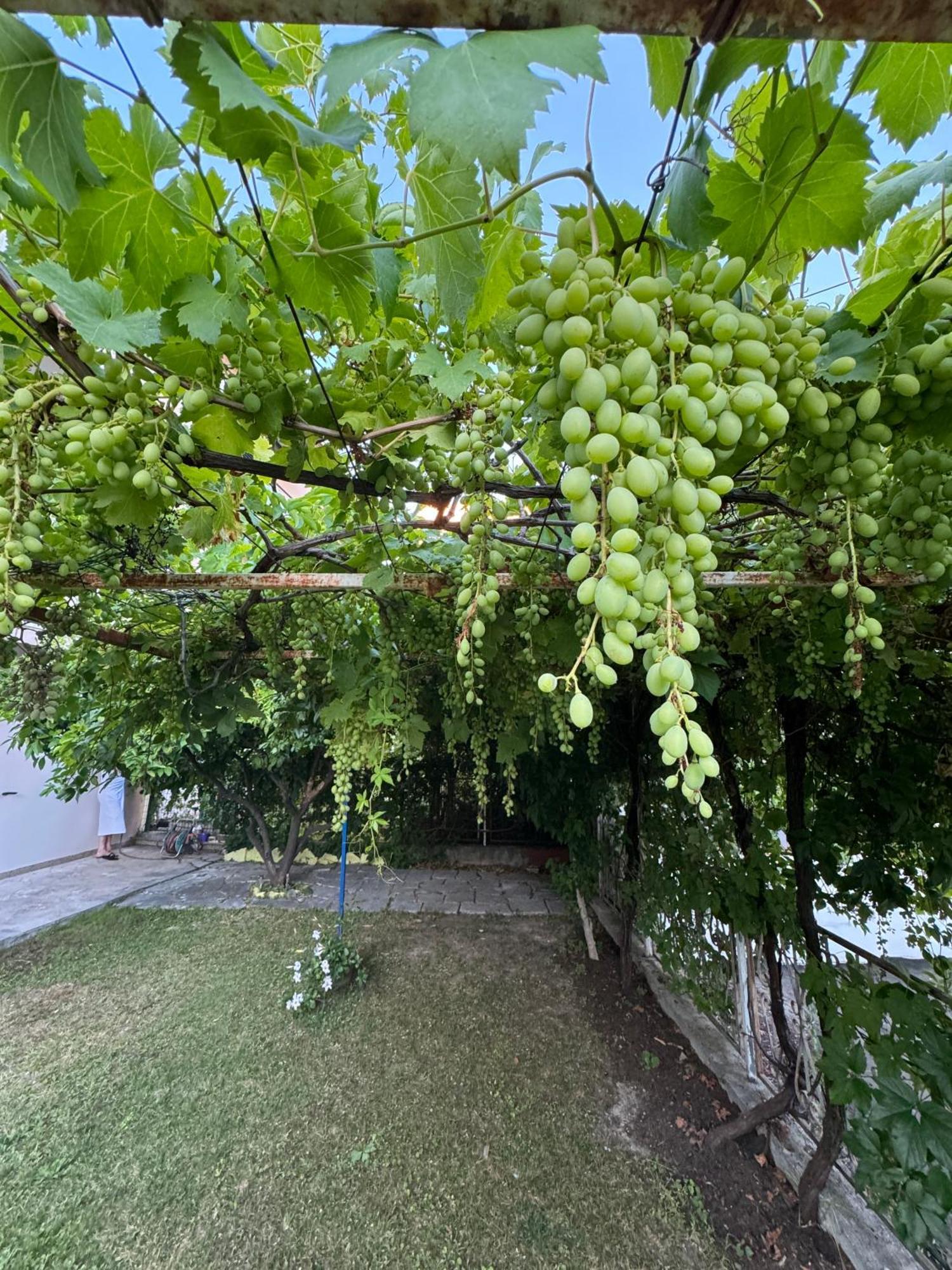 Valentinas Garden Apartment Split Bagian luar foto